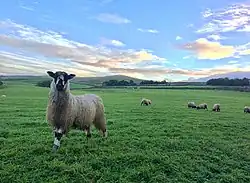 Horton in Ribblesdale