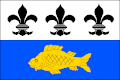 Flag of Řepice