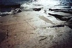 A rock carving depicting an otter or a lizard