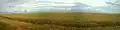Panorama of a wheat field near Siversk