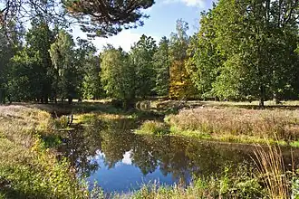 Nature of Zhytomyr Polissya