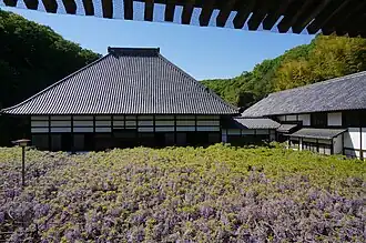 Kotsuhata-no-fuji&nbsp;[ja], a 650-year-old tree designated as a natural monument by Saitama Prefecture. Honjō, Saitama, Japan.