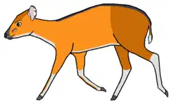 Drawing of brown and white bovid