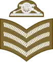 Sergeant (Army of Malta)[77]