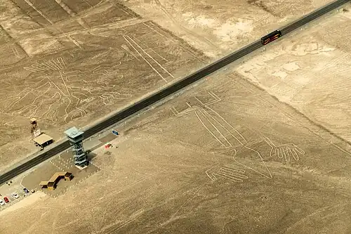 The Lizard (la lagartija)[73]