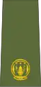 Major (Rwandan Land Forces)[74]