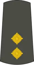 Поручник Poručnik (Serbian Army)[9]