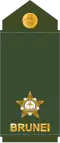 Leftenan muda (Royal Brunei Land Force)[3]