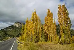 Tenterfield Bluff Rock