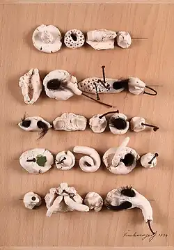Tactile poem, ceramic clay, nails, hair, plywood, 2014