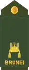 Mejar (Royal Brunei Land Force)[20]