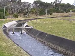 Upper Canal at Bringelly Road