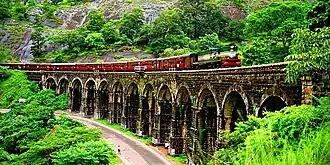 Train on arch bridge, running next to a road through a forest