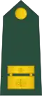 Major (Slovenian Ground Force)[79]