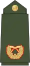 Brigadier general (Nepali: सहायक रथी, romanized:&nbsp;Sahaayak rathee) (Nepalese Army)[38]