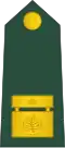 Brigadir (Slovenian Ground Force)[8]
