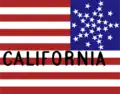 Flag used by California's delegates at the 1860 Republican National Convention[69]