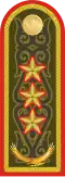 Генерал-Полҝвниҝ General-polkovnïk (Kazakh Ground Forces)[11]