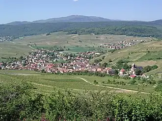 A general view of Westhalten