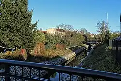 Czernica river in Sława