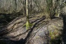 The spoil heap of the Charmée well.