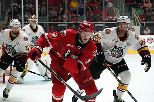 2019 Calder Cup Finals - Game 1 - Chicago Wolves at Charlotte Checkers - June 1, 2019 - Steven Lorentz and Jake Bischoff (48038928278).jpg