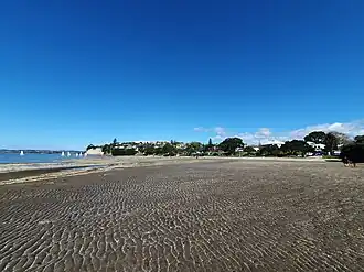 View of Waipaparoa at low tide, looking east