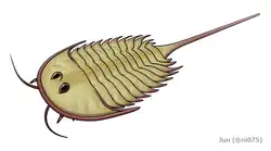 Life restoration of Aglaspis (Aglaspidida)