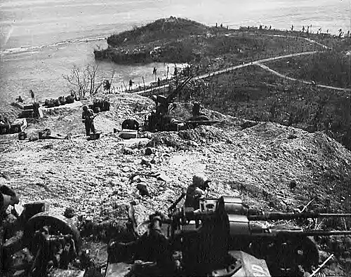 Oerlikon 20 mm cannon of Battery I, 14th Defense Battalion emplaced atop Chonito Cliff to support the advance
