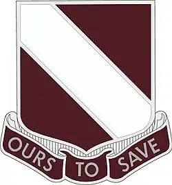 Distinctive Unit Insignia, 31st Medical Group