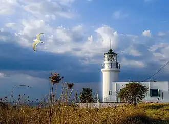 The wetland, the flora and fauna of the area