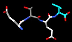 In the model, glutamate residues are colored white, threonine gray, and valine cyan. Nitrogen atoms are shown in blue and oxygen atoms in red.