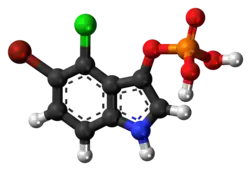 Ball-and-stick model of the BCIP molecule