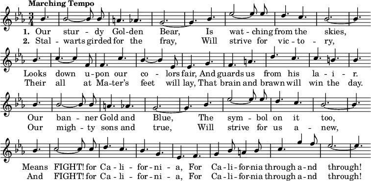 
{ \language "english"
  \new Voice \relative c'' 
  { \set Staff.midiInstrument = #"brass section" 
    \set Score.tempoHideNote = ##t 
    \tempo "Marching Tempo" 4. = 120 
    \stemUp 
    \clef treble 
    \key ef 
    \major 
    \time 3/4  
    \partial 4.
    \autoBeamOff
    bf4. bf2~bf8 bf8 a4. af g2.~g4.
    bf4. ef2~ef8 ef8 d4. c bf2.~bf4. \bar "" \break
    bf4. c4.~c4 f,8 f4. c' bf~bf4 ef,8 ef4.
    g4. f a d c c b bf \bar "" \break
    bf4. bf2~bf8 bf8 a4. af g2.~g4.
    bf4. ef2~ef8 ef8 d4. c bf2.~bf4. \bar "" \break
    bf4. c2~c8 c d4. c bf g ef f 
    g4 bf8 a4 bf8 c4. g'4 f8 ef2.~ef4. \bar "" \break
    

 } 
      \addlyrics {\set stanza = #"1. "
        Our stur -- dy Gol -- den Bear,
        Is wat -- ching from the skies,
        Looks down u -- pon  our co -- lors fair,
        And guards us from his la -- i -- r.
        Our ban -- ner Gold and Blue,
        The sym -- bol on it too,
        Means FIGHT! for Ca -- li -- for -- ni -- a,
        For Ca -- li -- for -- nia through a -- nd through!
 }
 
     \addlyrics {\set stanza = #"2. "
      Stal -- warts girded for the fray,
      Will strive for vic -- to -- ry,
      Their all at Ma -- ter’s feet will lay,
      That brain and brawn will win the day.
      Our migh -- ty sons and true,
      Will strive for us a -- new,
      And FIGHT! for Ca -- li -- for -- ni -- a,
      For Ca -- li -- for -- nia through a -- nd through!
 }

  }
