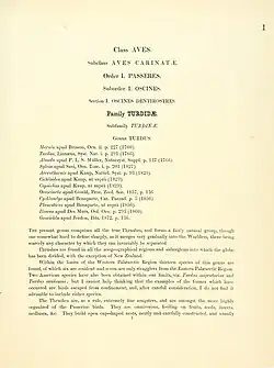 page of text