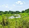 Swamp site in Mowo, Badagry