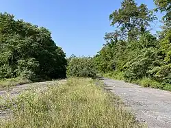 An abandoned road with a median