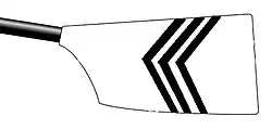 Image showing the rowing club's blade colours