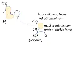 A protocell away from a hydrothermal vent must create its own proton-motive force, such as by splitting hydrogen sulfide.[43]