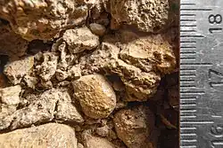 A macro photo of ablation till parent material. The right side of the image has a scale bar showing the size of particles from over a centimetre in length, to smaller than a millimetre. The colour of the soil is generally orangeish.