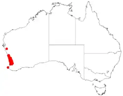 "Acacia barbinervis" occurrence data from Australasian Virtual Herbarium