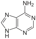 Chemical structure of dxA