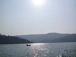 After noon in Nallamalla Forest