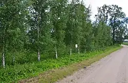 Village road in Aiamaa