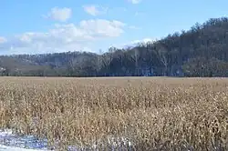 Along State Route 550 west of Amesville