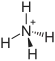The ammonium cation