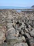 Ancient V-shaped fishing weir at Countisbury Cove, Somerset
