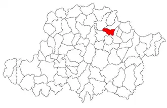 Location in Arad County