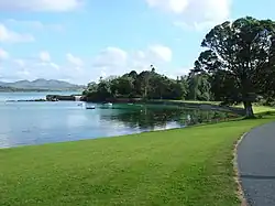 A pathway in a forest