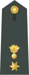 Current rank insignia of a Tagmatarchis, since 1975